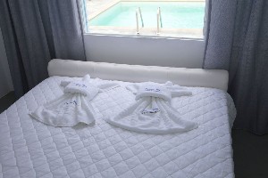 Double Standard Room (PoolView)