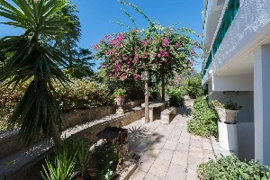 Hotel MELODY STUDIOS wakacje