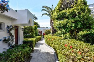 Hotel BLUE HORIZON wakacje