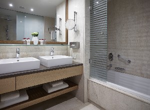 Standard Suite Bathroom