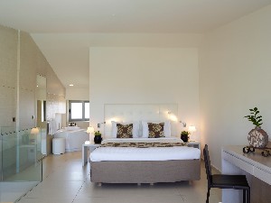 Premium Double with Spa