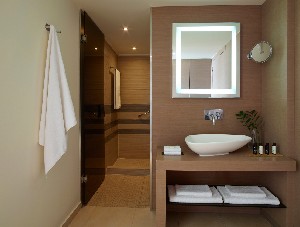 Deluxe Room Bathroom
