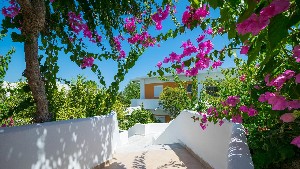 Hotel STAFILIA BEACH wakacje