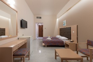 Standard double room