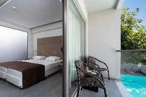 Double Standard Room Pool view