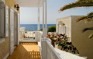 Hotel DOLPHINS APARTMENTS wakacje