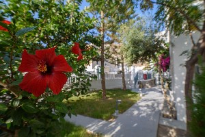 Hotel IRIS BOUTIQUE HOTEL wakacje