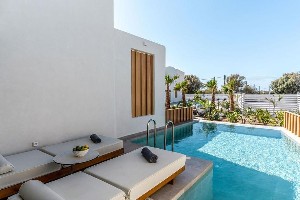 Double Deluxe Room (Private Pool )
