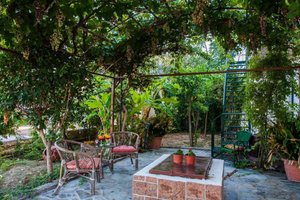 Hotel ZANTE NEST STUDIOS AND APARTMENTS wakacje