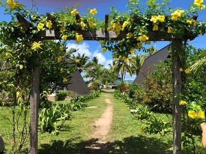 Hotel LA DIGUE ISLAND LODGE wakacje