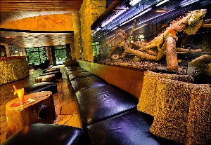 Hotel TRI STUDNICKY wakacje