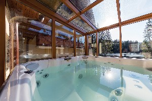 Hotel SKI & WELLNESS RESIDENCE DRUŽBA wakacje