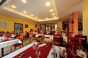 Hotel SOLISKO wakacje