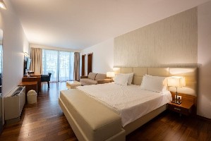 Double Deluxe Room (SeaView)