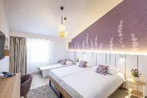 Hotel VILE PARK wakacje