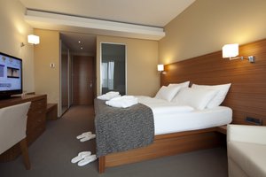 Double Executive Room (MountainView, Balcony)