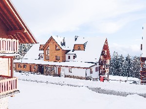 Hotel FOREST HOTEL VIDEC wakacje