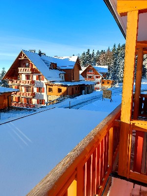 Hotel FOREST HOTEL VIDEC wakacje