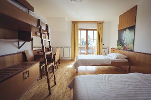 Hotel FOREST HOTEL VIDEC wakacje