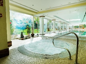 Spa and wellness