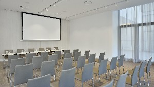 Conference Facilities