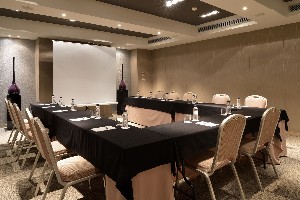 Conference Facilities