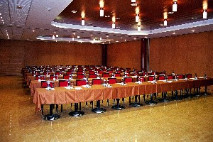 Conference Facilities