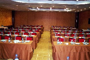 Conference Facilities