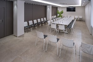 Conference Facilities