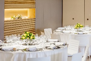 Conference Facilities