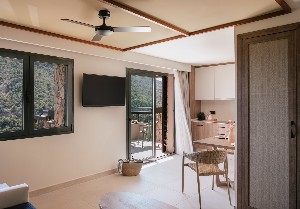 Suite (GardenView, With Kitchenette)