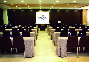 Conference Facilities
