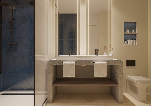 Render Junior Suite Swuim up Emblem