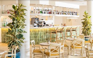 Hotel IBEROSTAR WAVES GAVIOTAS PARK wakacje