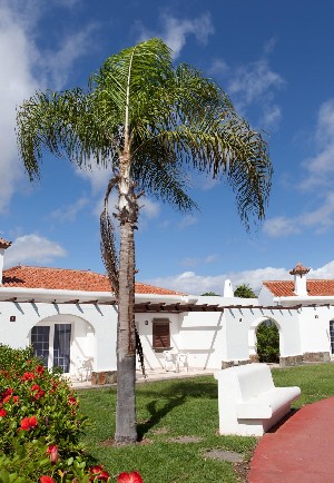 Hotel LIVVO DUNAGOLF SUITES wakacje