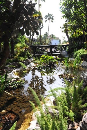 Hotel PARQUE TROPICAL wakacje