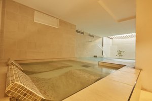 Spa and wellness