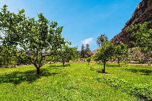 Hotel JARDIN TECINA wakacje