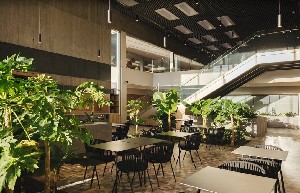 Hotel BANCAL HOTEL & SPA wakacje