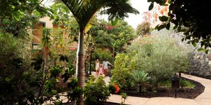 Hotel LAS OLAS wakacje