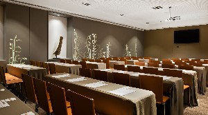 Conference Facilities
