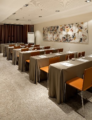 Conference Facilities