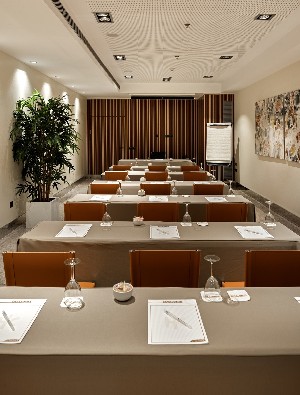 Conference Facilities