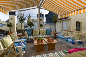 Roof Top Terrace