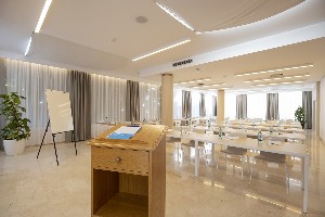 Conference Facilities