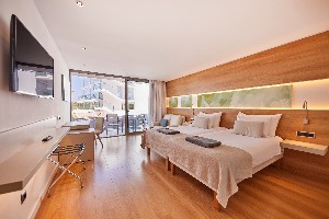 Double Premium Room (SwimUp-PoolTerrace)