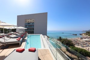 Pool Paradise Deck