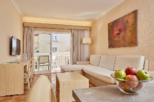 1 Bedroom Suite (Balcony or Terrace)