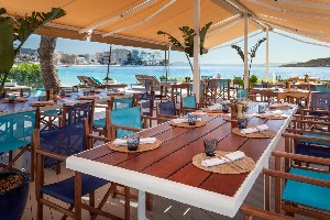 Hotel MELIA SOUTH BEACH wakacje