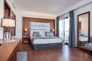 1 Bedroom Suite (Balcony or Terrace)